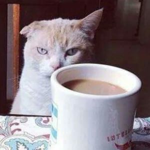 Meet your Posher, Jalena